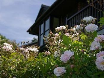Barclay House Cottages Looe Exterior foto